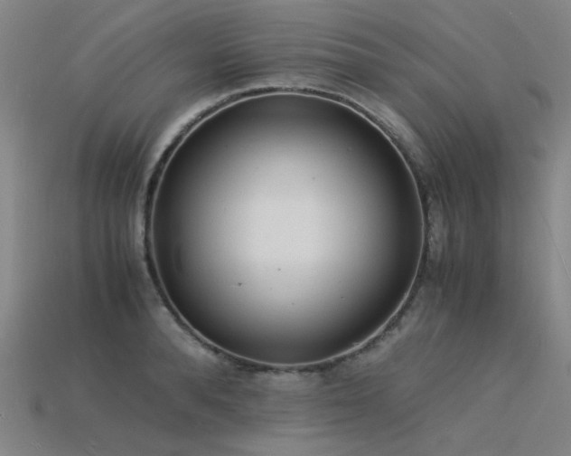 X0000115840896200911131528