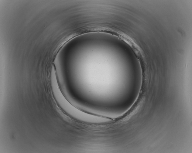 X0000115840897200911131528