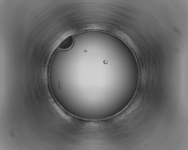 X0000115840898200911131528