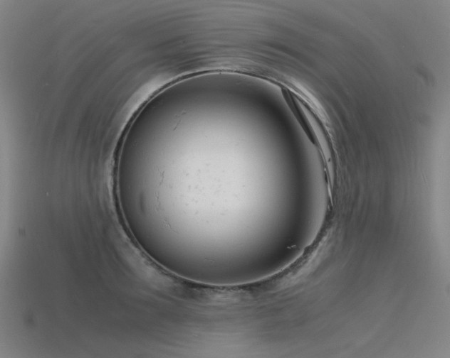 X0000115840899200911131528