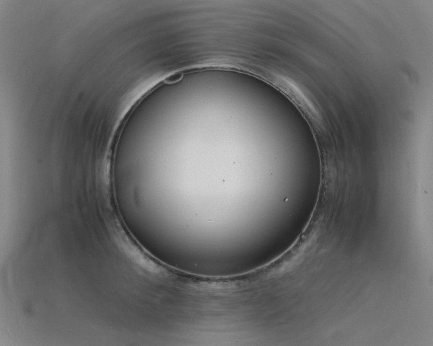 X0000115840900200911131528