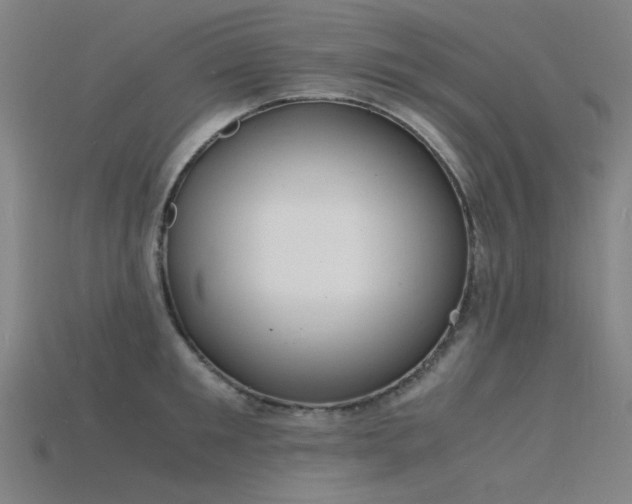 X0000115840901200911131528