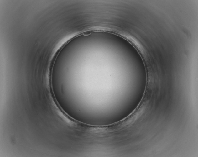 X0000115840902200911131528