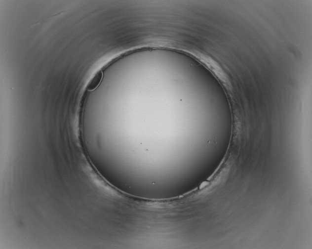 X0000115840904200911131528