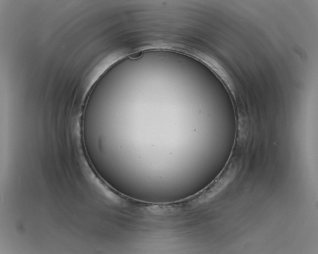X0000115840906200911131528