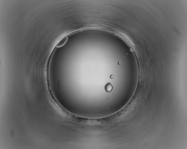 X0000115840907200911131528