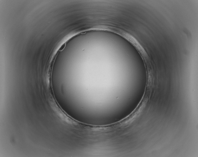 X0000115840908200911131528