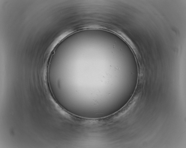 X0000115840909200911131528
