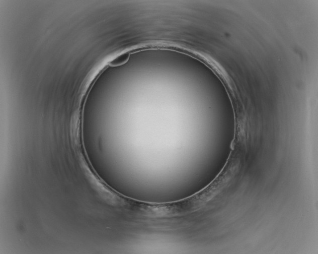 X0000115840911200911131528
