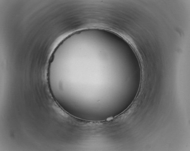 X0000115840912200911131528