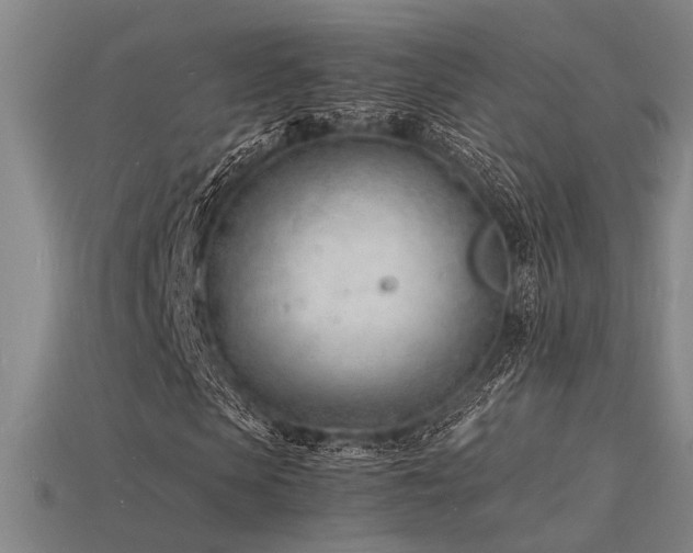 X0000115840913200911131527