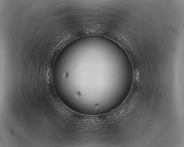 X0000115840915200911131527