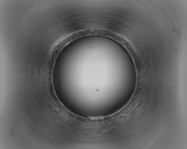 X0000115840919200911131528
