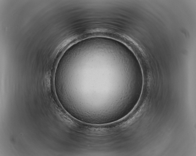 X0000115840921200911131528