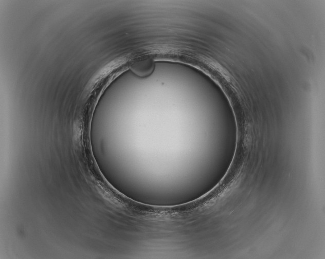 X0000115840922200911131528