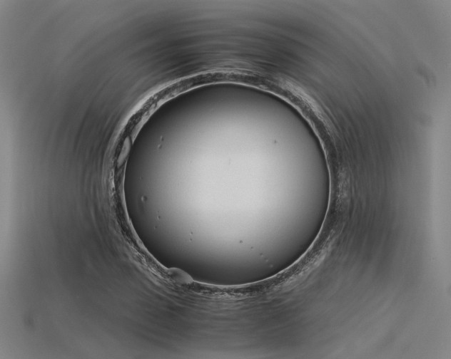 X0000115840923200911131528