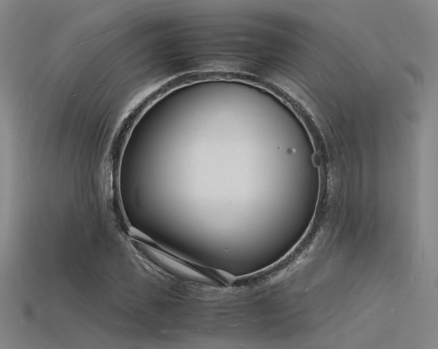 X0000115840925200911131528