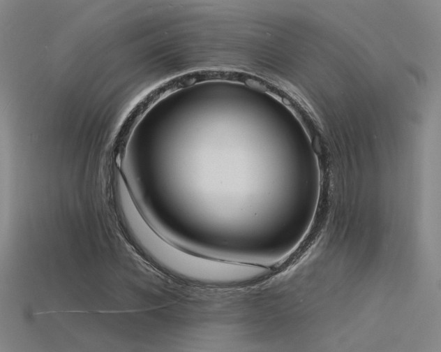 X0000115840926200911131528
