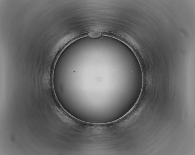 X0000115840930200911131528