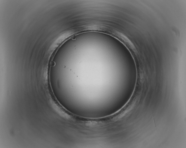X0000115840938200911131528