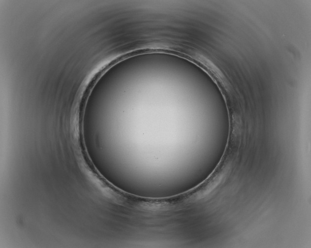 X0000115840939200911131528