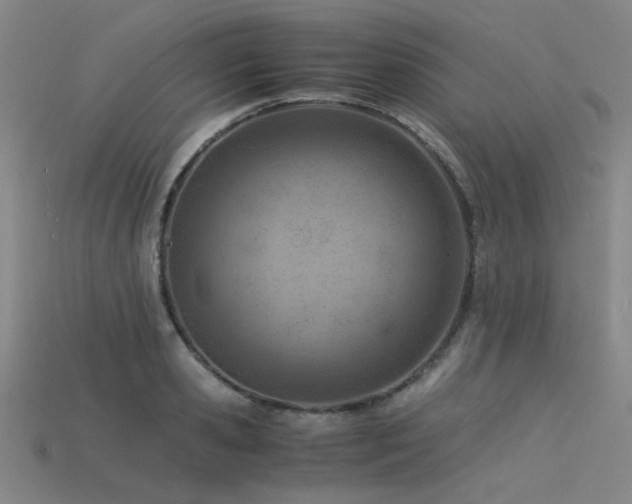 X0000115840941200911131528