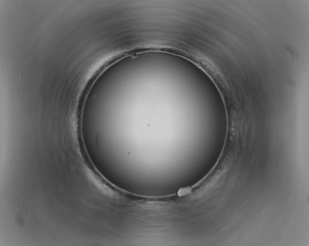 X0000115840942200911131528