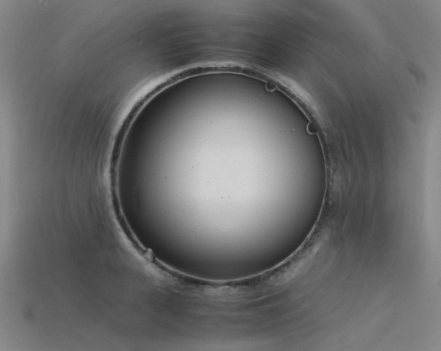 X0000115840943200911131528