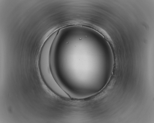 X0000115840946200911131528