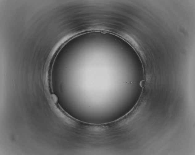 X0000115840947200911131528