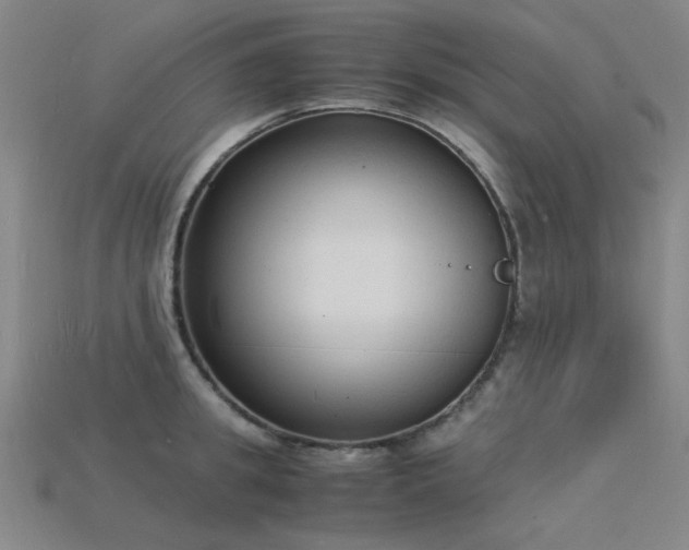 X0000115840949200911131528