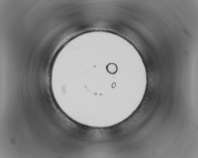 X0000115840950200911131528
