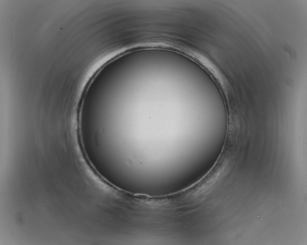 X0000115840951200911131528