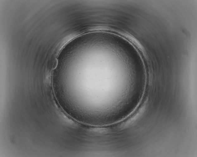 X0000115840953200911131528