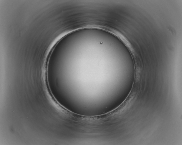 X0000115840955200911131528