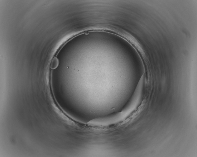 X0000115840958200911131528