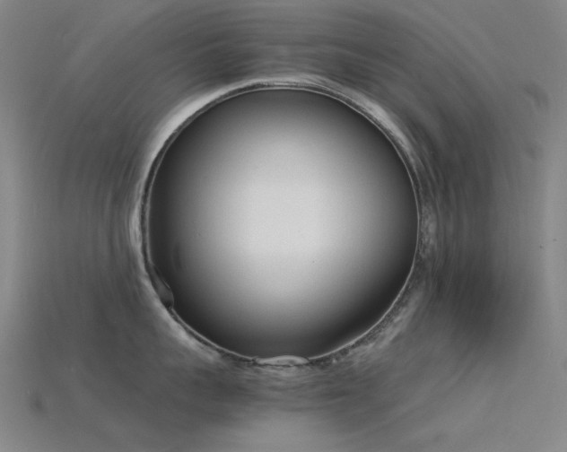 X0000115840959200911131528