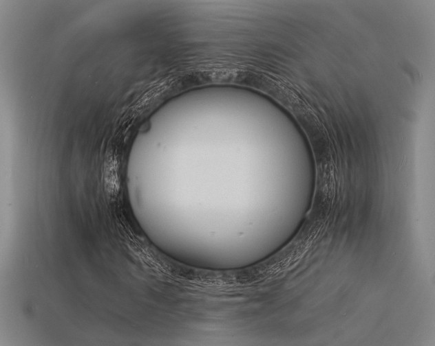 X0000115840962200911131527