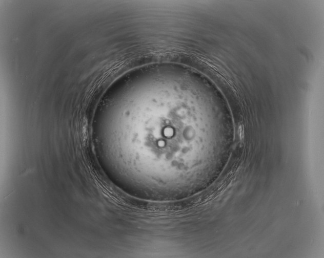 X0000115840963200911131527