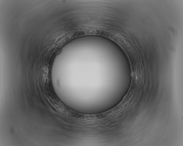 X0000115840964200911131527