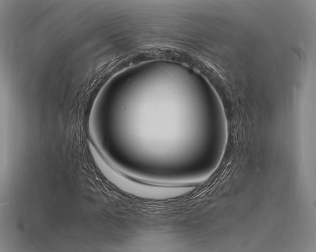 X0000115840965200911131527