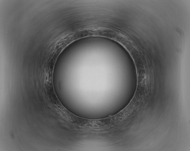 X0000115840966200911131527