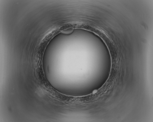 X0000115840967200911131527