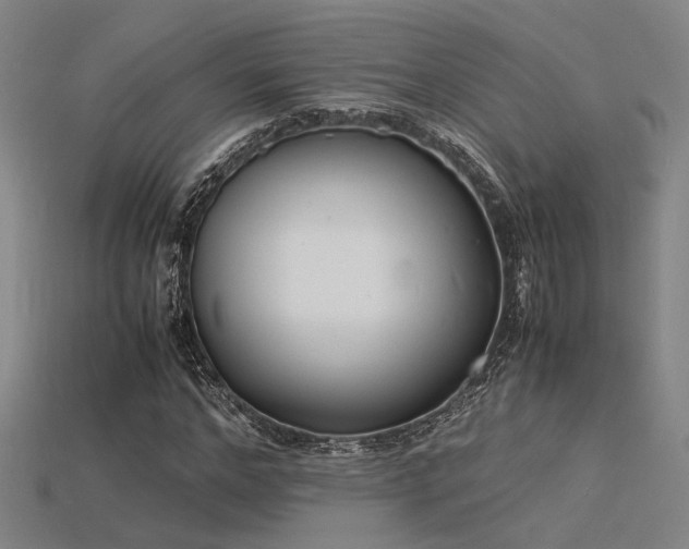 X0000115840968200911131527