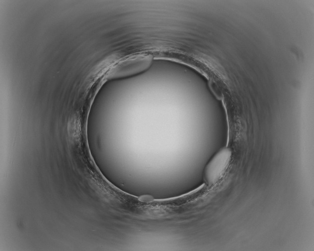 X0000115840969200911131527