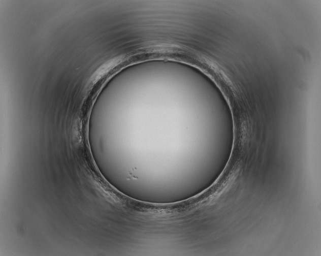 X0000115840970200911131527