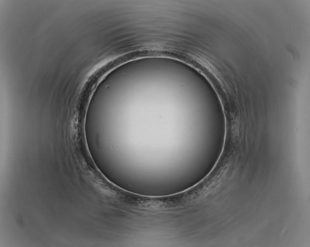 X0000115840971200911131527