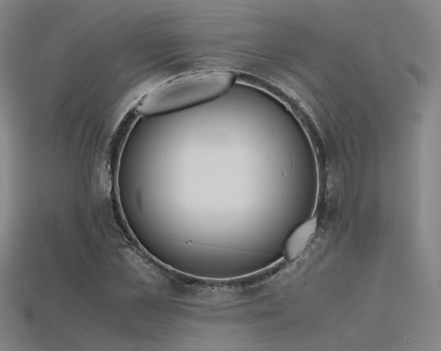 X0000115840973200911131527