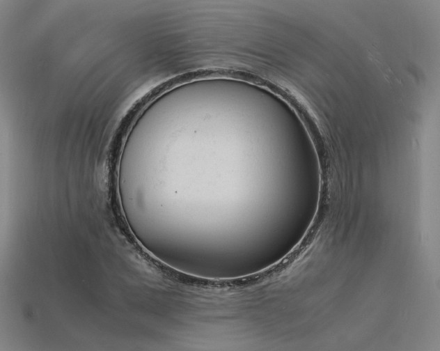 X0000115840975200911131527