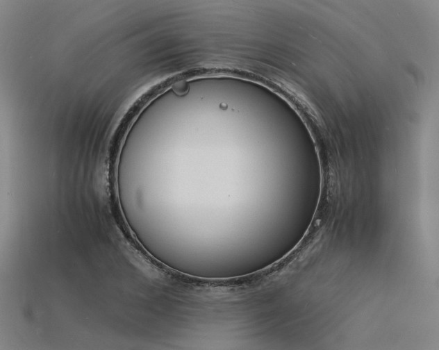 X0000115840976200911131527